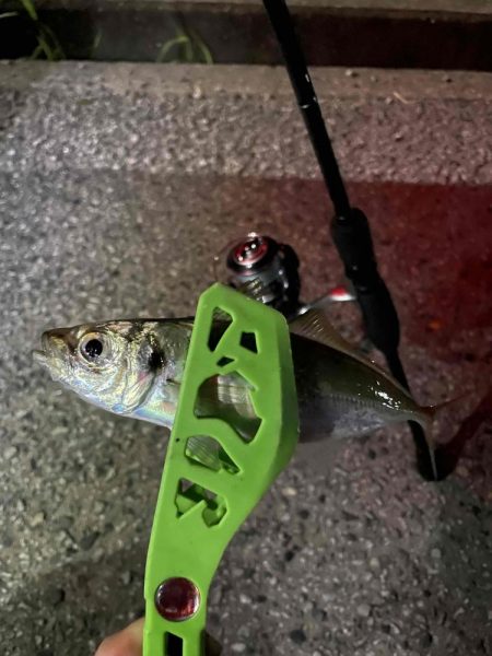 フロートアジング行ってきました