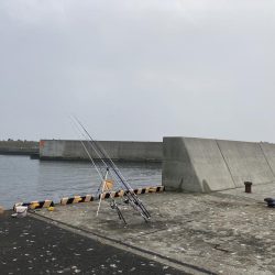 えりも岬で五目吊り！あの魚が釣れる！？