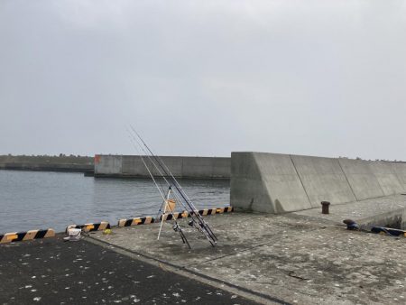 えりも岬で五目吊り！あの魚が釣れる！？