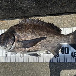 イチノ兄弟、釣果！