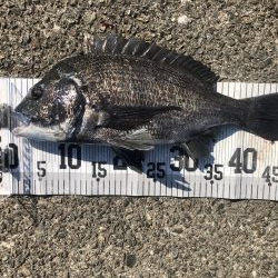 イチノ兄弟、釣果！