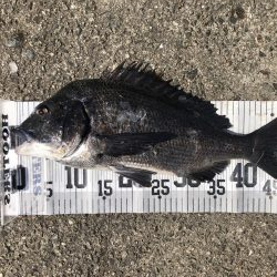 イチノ兄弟、釣果!