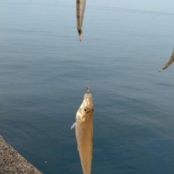 日ムラ激しい播磨新島のキス