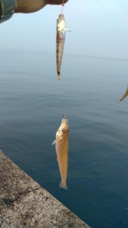日ムラ激しい播磨新島のキス