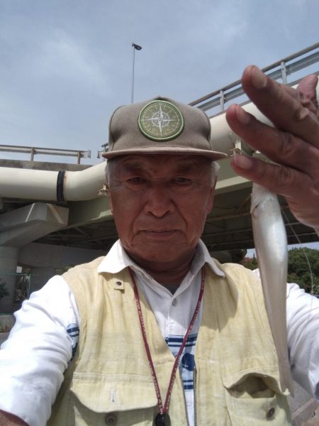 津名・志筑のキス調査