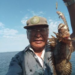 近場のキスが釣れません