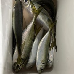 フロートアジング