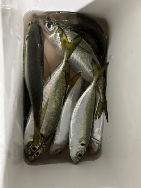 フロートアジング