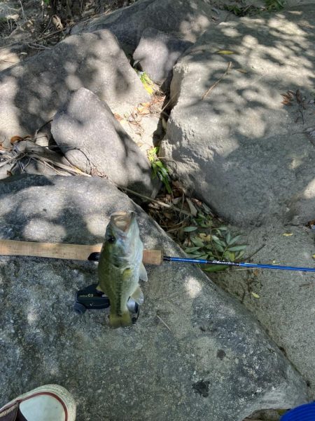 昭和タックルで川バス