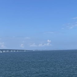 ブルーインパルス見ながらタコ釣り