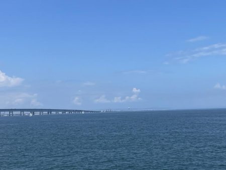 ブルーインパルス見ながらタコ釣り