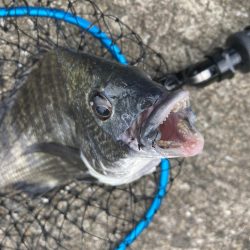 またもや最後に！