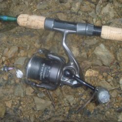 7月のナマズバス