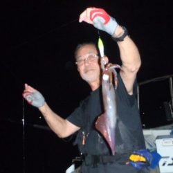 夜焚イカでケンサキ🦑