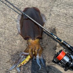 久しぶりの投稿！