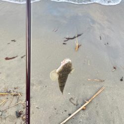 ちょい投げ行ってきました!