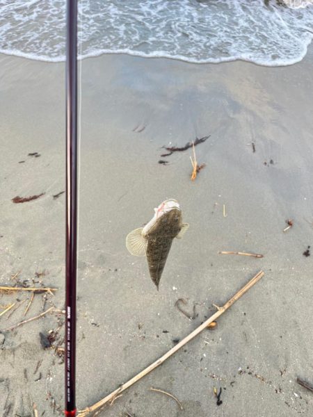 ちょい投げ行ってきました!