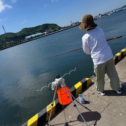 しめ鯖用のデカサバを求めて