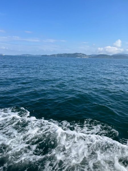 ジグしたりサビキしたり鯛ラバしたり