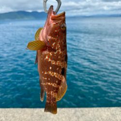 ハードロック⚡️