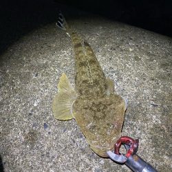 ロックフィッシュゲーム