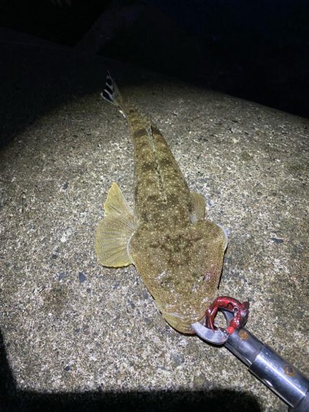 ロックフィッシュゲーム