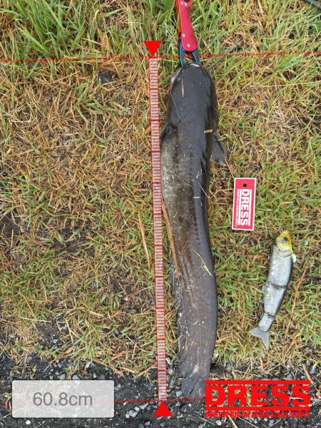 やっとこビックベイトで釣れた！！