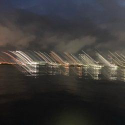 久しぶりのヒットは！あと1cm