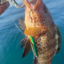 サップフィッシングSLJ