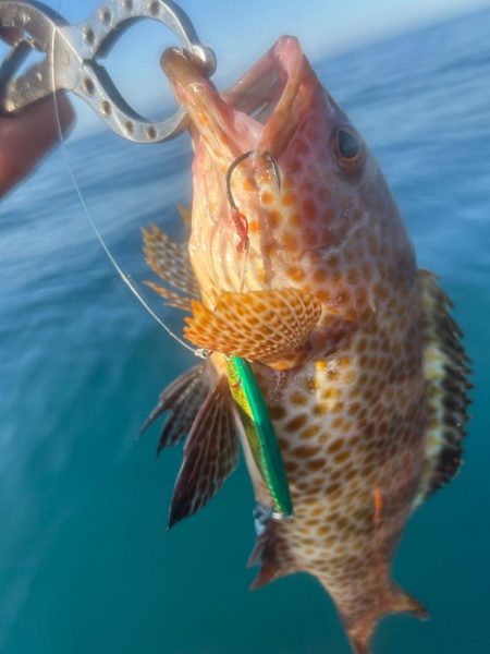 サップフィッシングSLJ