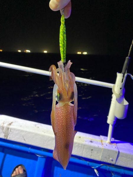 和歌山イカメタル