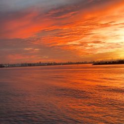 タコリベンジ!!