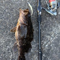 ロックフィッシュ