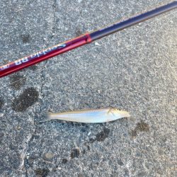 今日も行ってきました！