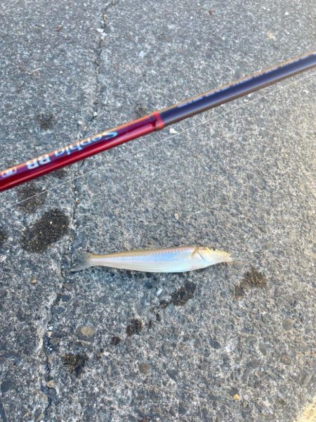 今日も行ってきました！