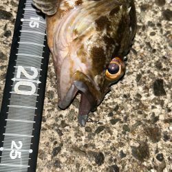 ライトワインド