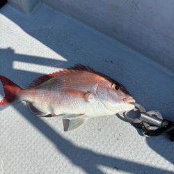 タイラバと忍耐力