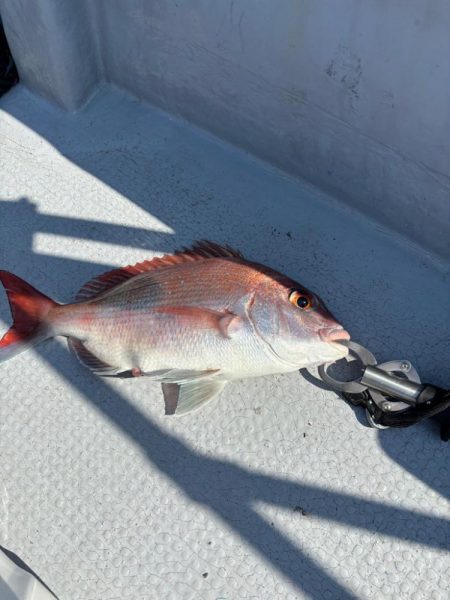 タイラバと忍耐力