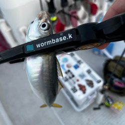 ボートアジング