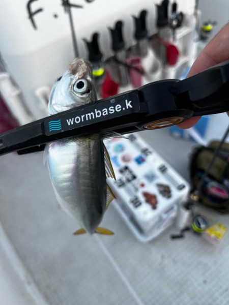 ボートアジング