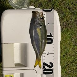 釣れてよかった