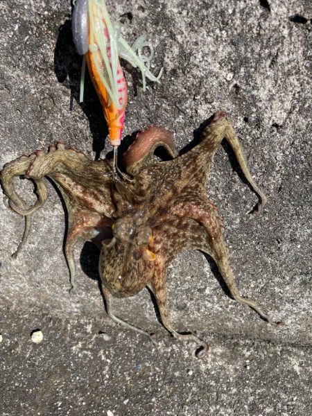 まずまず、上向き❓