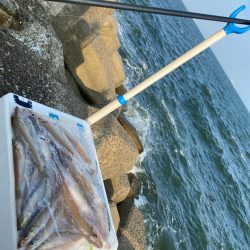 波高移動のシロギスタ