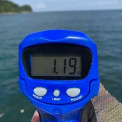 久しぶりのイカget‼︎