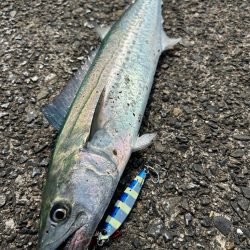 ショアジギング