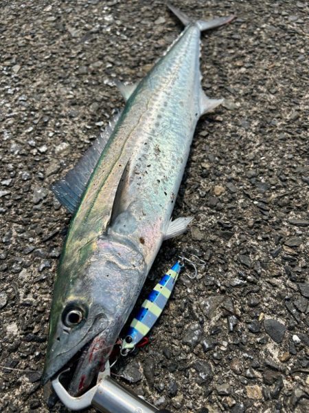 ショアジギング