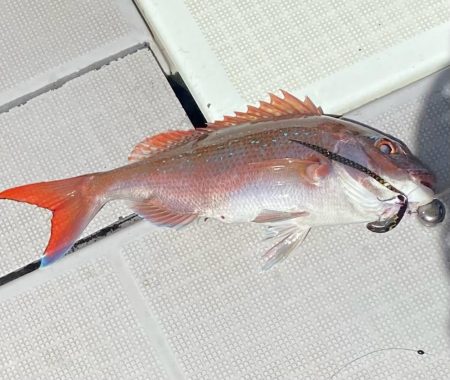 タイラバ　ラクマル