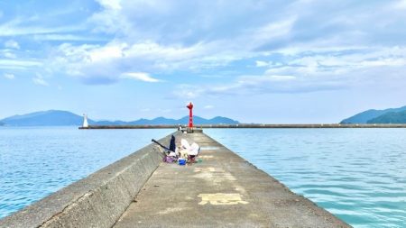 小浜新港ガラガラということは…