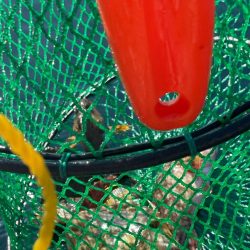 暑い。貴重な一枚