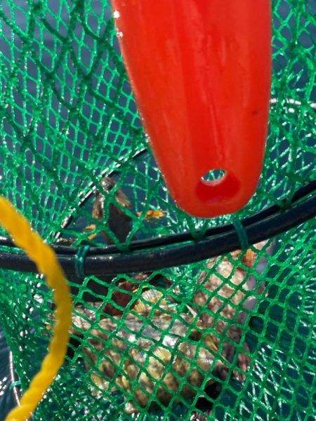 暑い。貴重な一枚